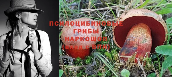 spice Алзамай
