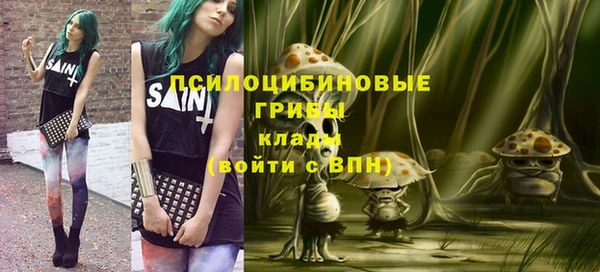 spice Алзамай