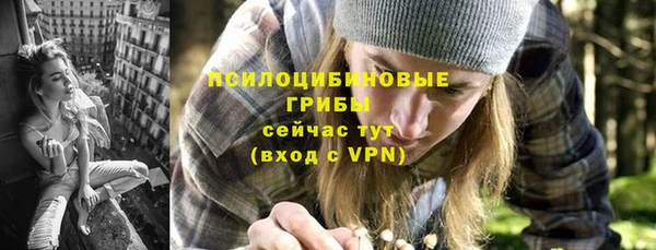 твердый Алексин