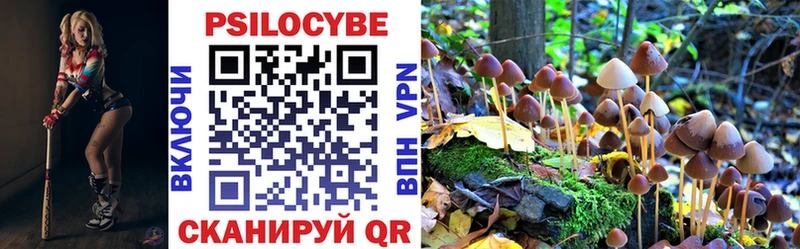 Галлюциногенные грибы MAGIC MUSHROOMS  сколько стоит  МЕГА ТОР  Новомосковск 